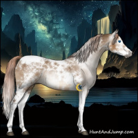Horse Color:Gray Liver Red Dun Splash Tobiano 