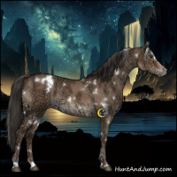 Horse Color:White Spotted Liver Red Dun Ice Sabino 