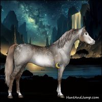 Horse Color:Gray Liver Red Dun Ice Splash Tobiano 