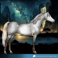 Horse Color:Gray White Spotted Liver Chestnut Ice Splash Rabicano 