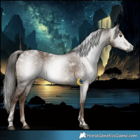 Horse Color:Gray Liver Red Dun Ice Tobiano 