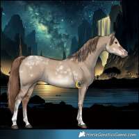 Horse Color:Liver Red Dun Tobiano 