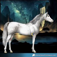 Horse Color:Gray Liver Red Dun Splash Tobiano Rabicano 