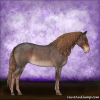 Horse Color:Liver Red Roan Appaloosa