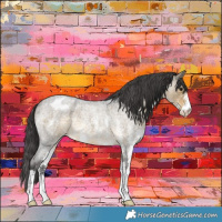 Horse Color:Buckskin Roan Sabino Varnish 