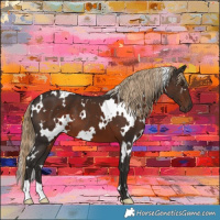Horse Color:White Spotted Liver Chestnut 