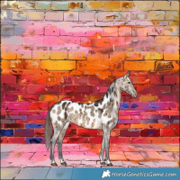 Horse Color:Brown Dun Blanket Brindle 