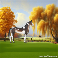 Horse Color:Brown Splash Tobiano