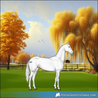 Horse Color:Gray White Spotted Bay Dun Tobiano Leopard 