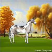 Horse Color:Gray White Spotted Brown Dun Splash Tobiano