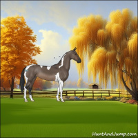 Horse Color:Brown Dun Tobiano 