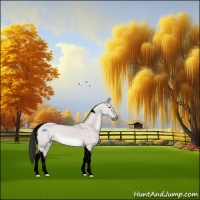 Horse Color:Void Platinum Buckskin Dun Tobiano 