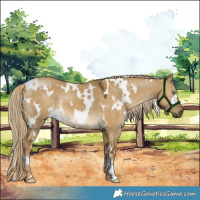 Horse Color:White Spotted Chocolate Palomino Dun Mushroom