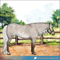 Horse Color:White Spotted Liver Red Dun Roan Mushroom 