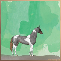 Horse Color:Liver Red Roan Tobiano 