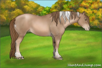 Horse Color:Liver Chestnut Pearl Tobiano 
