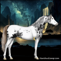 Horse Color:Gray White Spotted Liver Chestnut Ice Splash Tobiano