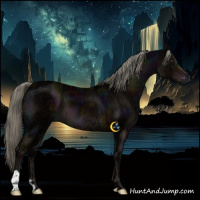 Horse Color:Midnight Liver Chestnut Ice Mushroom