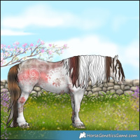 Horse Color:Plaid  White Spotted Liver Red Dun Ice Tobiano Brindle 