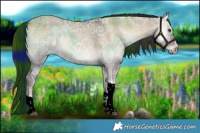 Horse Color:Void Plaid  Liver Red Dun Ice Onyx Tobiano Brindle 