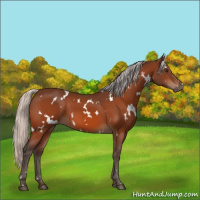 Horse Color:White Spotted Silver Brown 