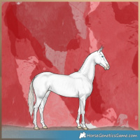 Horse Color:Chocolate Palomino Snowdrop Dun Tobiano Near Fewspot Brindle 