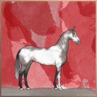Horse Color:Brown Roan Dun Frame Brindle 