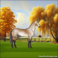 Horse Color:Gray Void Buckskin Dun Sabino Rabicano