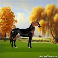 Horse Color:Void Buckskin Splash Tobiano Appaloosa Rabicano