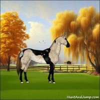 Horse Color:Void Buckskin Dun Splash Tobiano Snowflake Varnish 