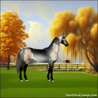 Horse Color:Gray Void Buckskin Dun Splash Tobiano