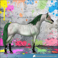 Horse Color:Painted White Spotted Liver Red Dun Roan 