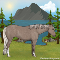 Horse Color:Chocolate Silver Grullo 