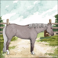 Horse Color:Chocolate Silver Grullo Chinchilla 