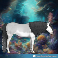 Horse Color:Bay Chinchilla Dun Splash