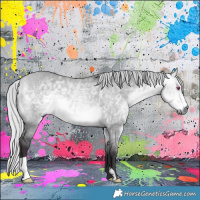 Horse Color:Silver Buckskin Chinchilla Dun 