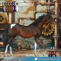 Horse Color:Brown Tobiano Appaloosa Rabicano 