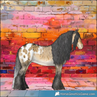 Horse Color:Buckskin Dun Appaloosa Brindle 