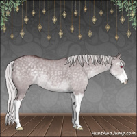 Horse Color:Chocolate Silver Grullo Chinchilla Sabino 