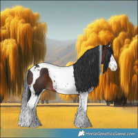 Horse Color:Brown Splash Tobiano 
