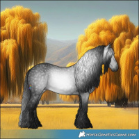 Horse Color:Gray Black 