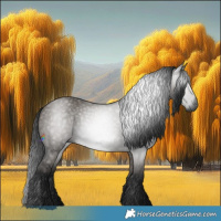 Horse Color:Gray Grullo 