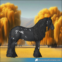 Horse Color:White Spotted Black