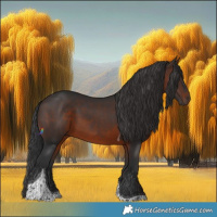 Horse Color:Brown Tobiano