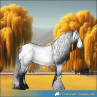 Horse Color:Gray Silver Brown Splash Tobiano and Gray Blue Roan