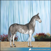 Horse Color:Grullo Sabino Brindle 