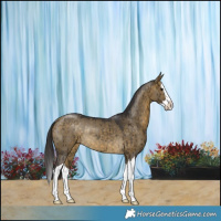 Horse Color:Buckskin Dun Splash Rabicano Brindle