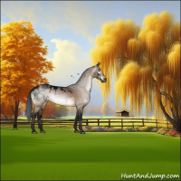 Horse Color:Gray Void White Spotted Brown Dun Blanket 