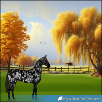 Horse Color:Void Platinum White Spotted Buckskin Dun Sabino Blanket 