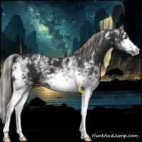 Horse Color:White Spotted Liver Chestnut Mushroom 
